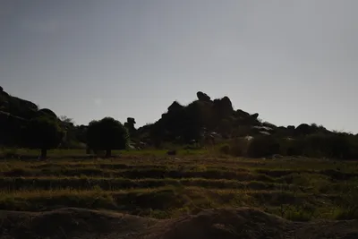 DSC_2696 (Large).JPG